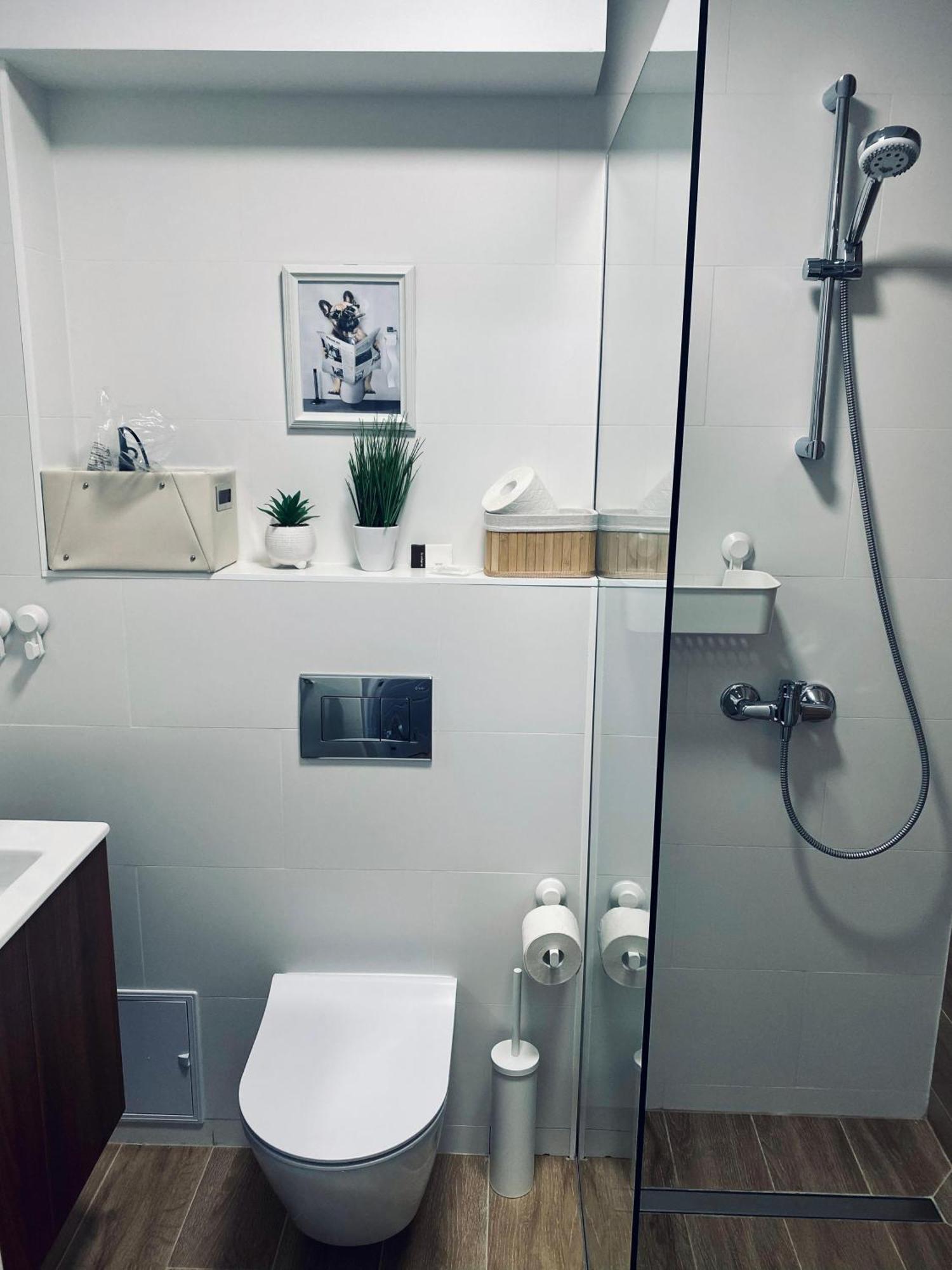 Central Luxury Apartment Iasi Eksteriør billede